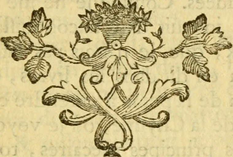 An illustration from Œuvres complètes de M. le C[om]te de Buffon ... : histoire des animaux quadrupèdes, 1775, leaf 62