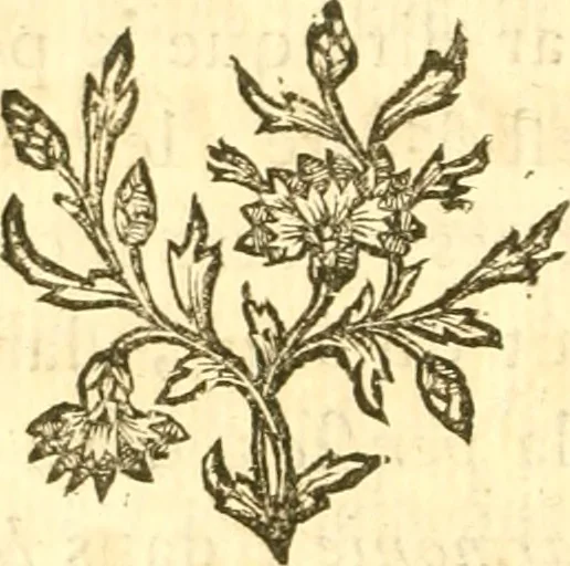 An illustration from Oeuvres complètes ... contenant différents traités sur la théorie de la peinture. Traduit de l'Italien, 1786, leaf 169