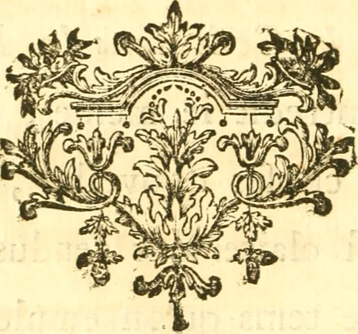 An illustration from Oeuvres complètes ... contenant différents traités sur la théorie de la peinture. Traduit de l'Italien, 1786, leaf 217