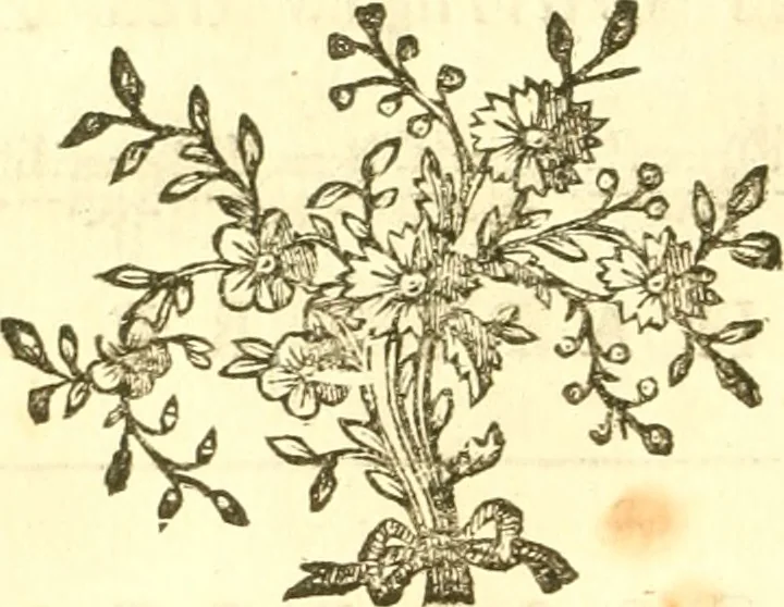 An illustration from Oeuvres complètes ... contenant différents traités sur la théorie de la peinture. Traduit de l'Italien, 1786, leaf 219