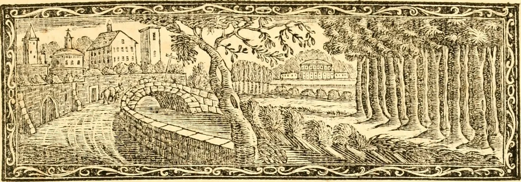 An illustration from Oeuvres complètes ... contenant différents traités sur la théorie de la peinture. Traduit de l'Italien, 1786, leaf 314