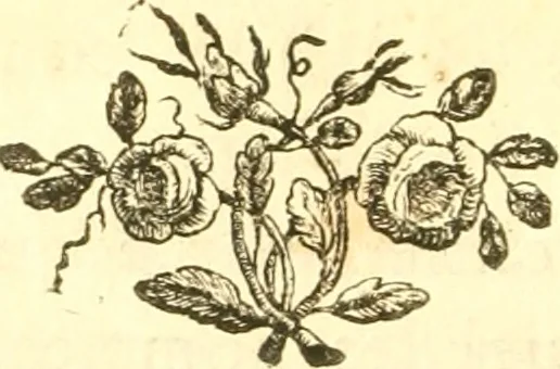 An illustration from Oeuvres complètes ... contenant différents traités sur la théorie de la peinture. Traduit de l'Italien, 1786, leaf 97