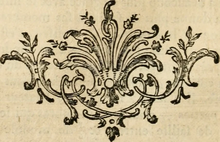 An illustration from uvres d'architecture de Vincent Scamozzi, architecte de la République de Venise, 1764, leaf 165