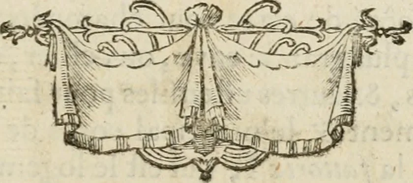 An illustration from uvres d'architecture de Vincent Scamozzi, architecte de la République de Venise, 1764, leaf 362