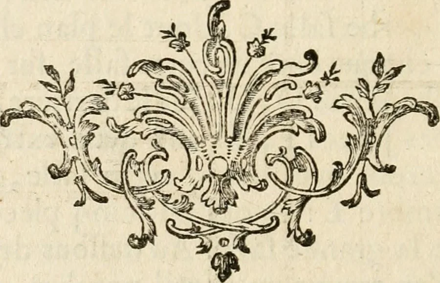 An illustration from uvres d'architecture de Vincent Scamozzi, architecte de la République de Venise, 1764, leaf 381