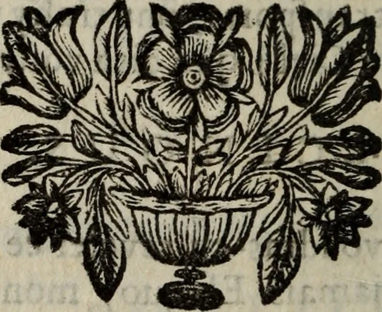An illustration from Oeuvres de Mr. Capistron, 1690, leaf 347