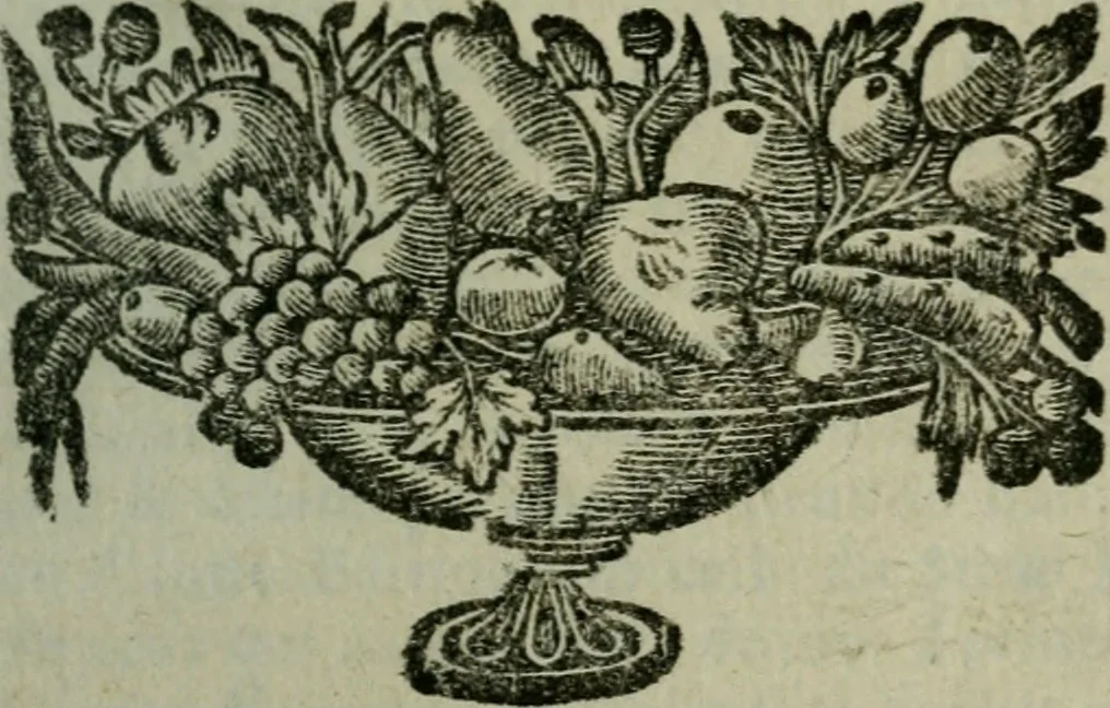 An illustration from Oeuvres de Mr le Baron, 1691, leaf 138