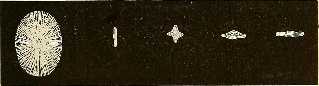 An illustration from Oeuvres ophthalmologiques de Thomas Young, 1894, leaf 156