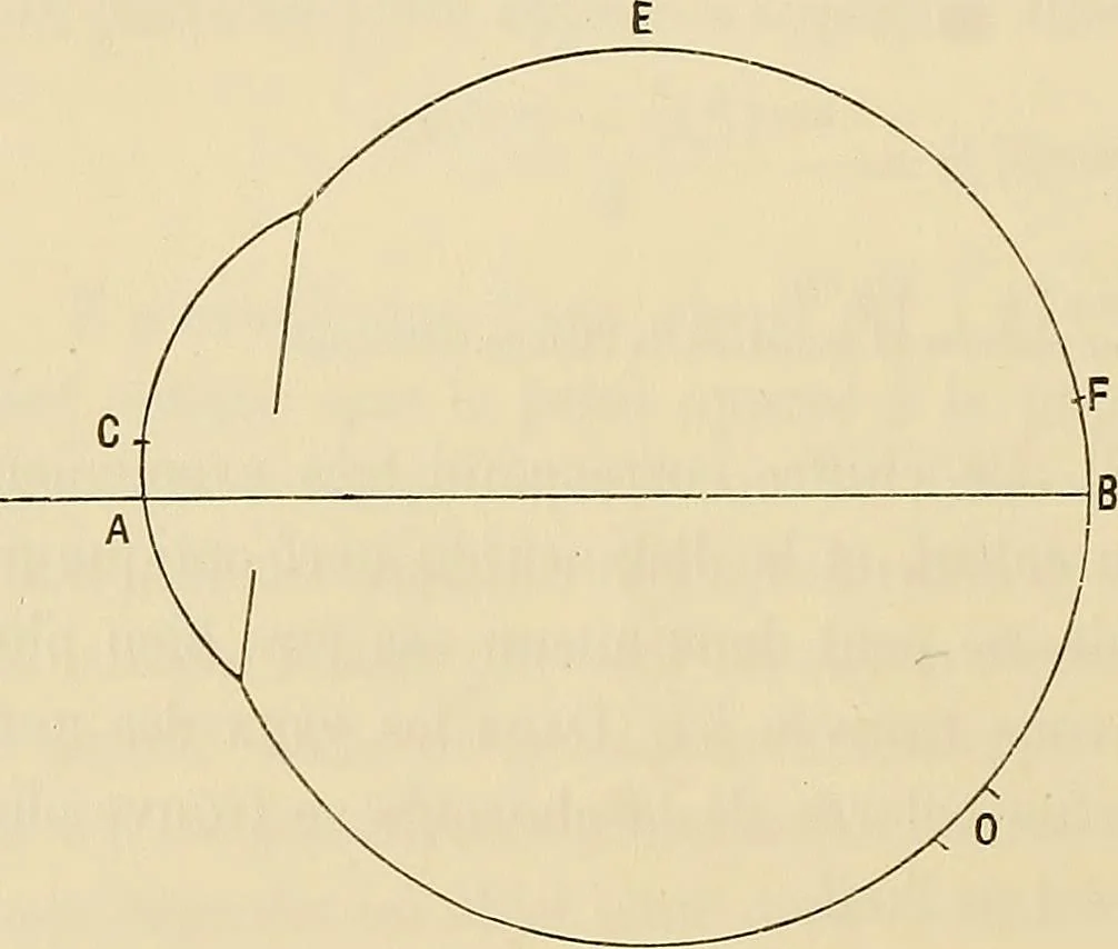 An illustration from Oeuvres ophthalmologiques de Thomas Young, 1894, leaf 165