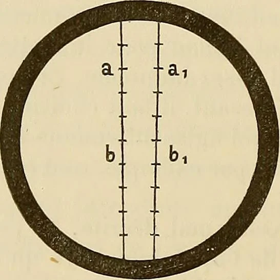 An illustration from Oeuvres ophthalmologiques de Thomas Young, 1894, leaf 179