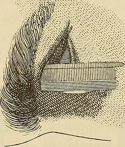 An illustration from Oeuvres ophthalmologiques de Thomas Young, 1894, leaf 181