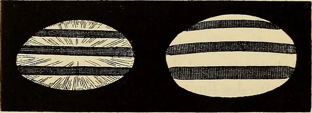 An illustration from Oeuvres ophthalmologiques de Thomas Young, 1894, leaf 195