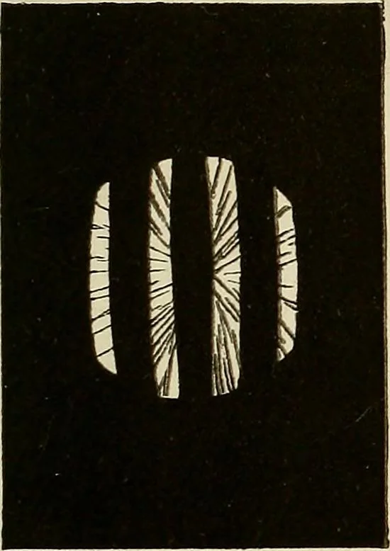 An illustration from Oeuvres ophthalmologiques de Thomas Young, 1894, leaf 202