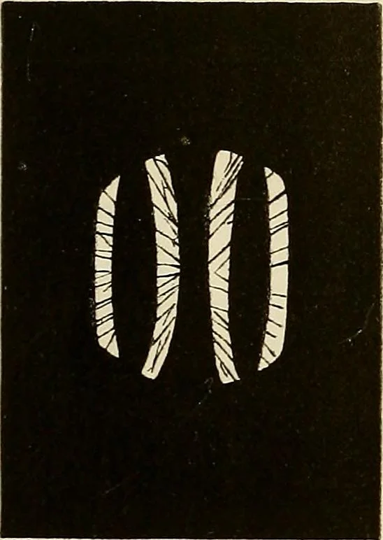 An illustration from Oeuvres ophthalmologiques de Thomas Young, 1894, leaf 202