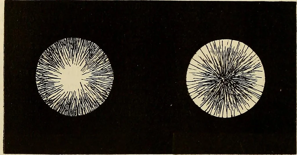 An illustration from Oeuvres ophthalmologiques de Thomas Young, 1894, leaf 203