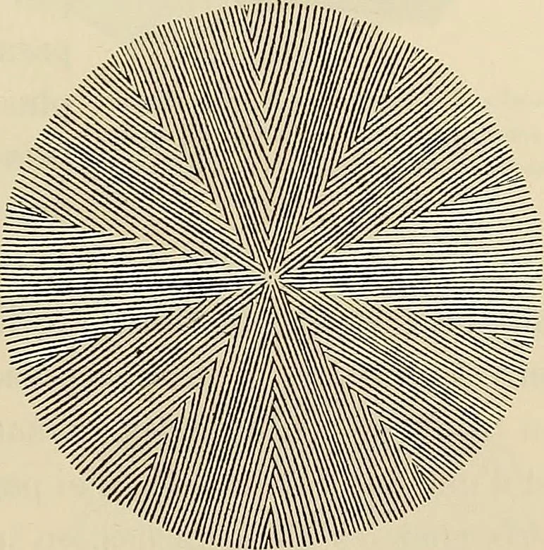 An illustration from Oeuvres ophthalmologiques de Thomas Young, 1894, leaf 216