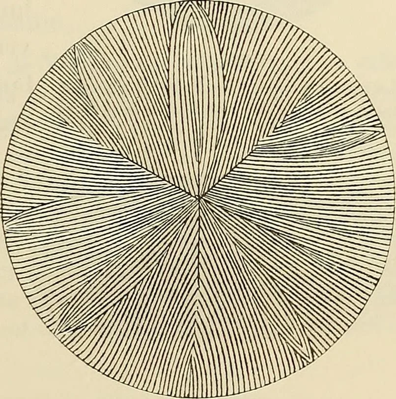 An illustration from Oeuvres ophthalmologiques de Thomas Young, 1894, leaf 218