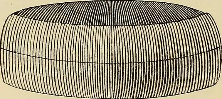 An illustration from Oeuvres ophthalmologiques de Thomas Young, 1894, leaf 219