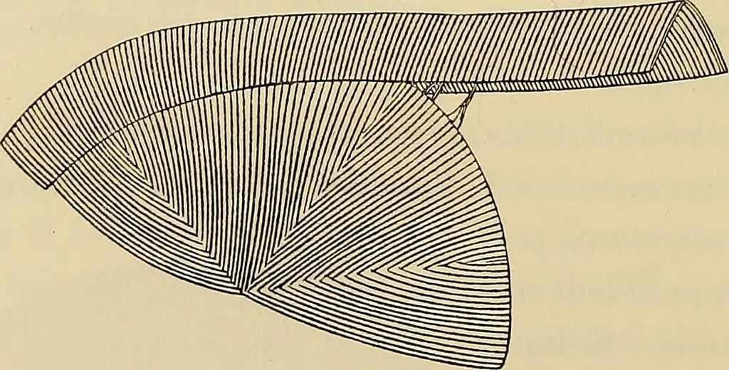 An illustration from Oeuvres ophthalmologiques de Thomas Young, 1894, leaf 219
