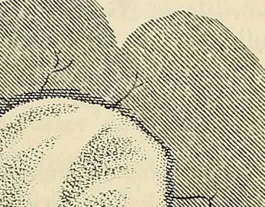 An illustration from Oeuvres ophthalmologiques de Thomas Young, 1894, leaf 224