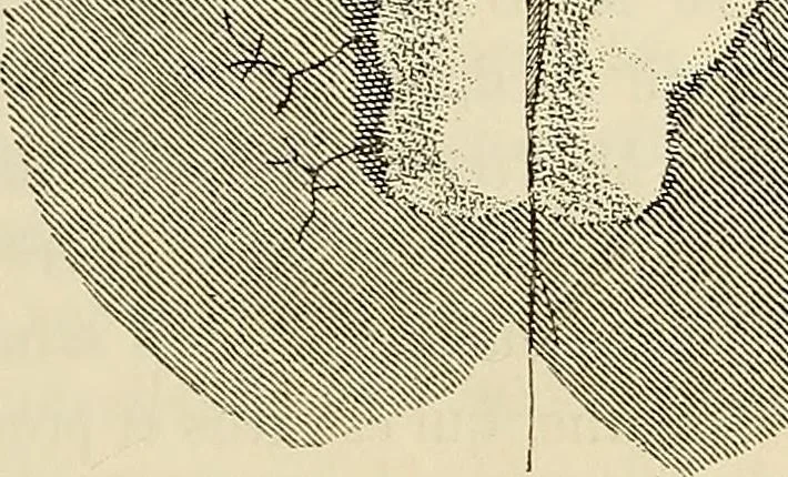 An illustration from Oeuvres ophthalmologiques de Thomas Young, 1894, leaf 224