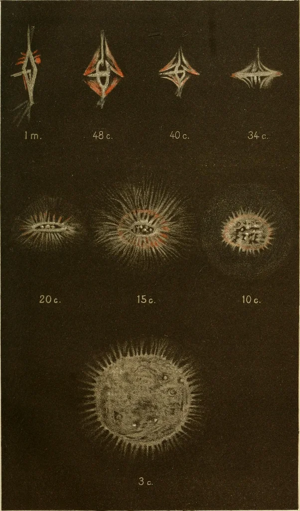 An illustration from Oeuvres ophthalmologiques de Thomas Young, 1894, leaf 264