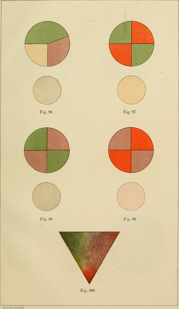 An illustration from Oeuvres ophthalmologiques de Thomas Young, 1894, leaf 266
