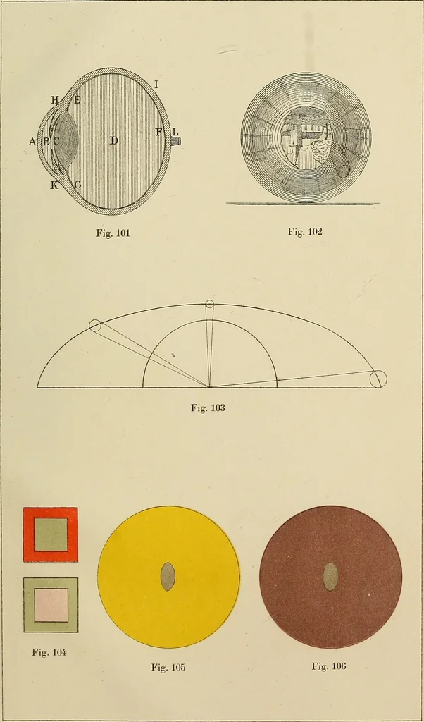 An illustration from Oeuvres ophthalmologiques de Thomas Young, 1894, leaf 268