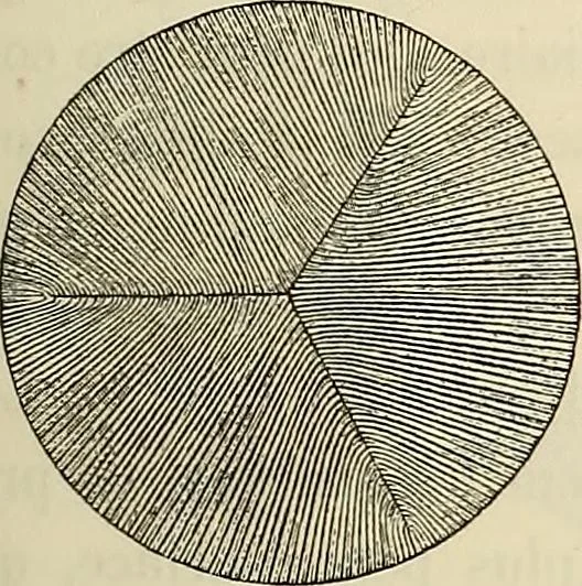 An illustration from Oeuvres ophthalmologiques de Thomas Young, 1894, leaf 80