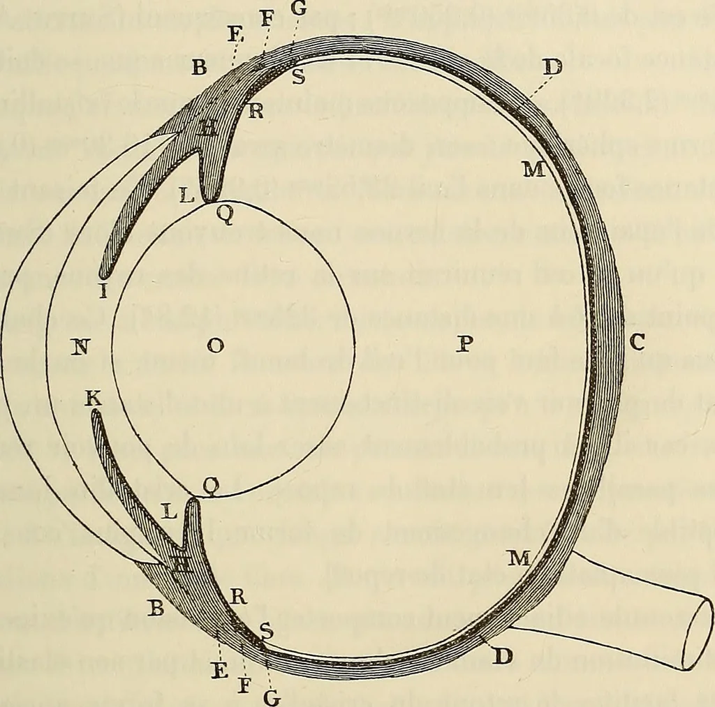 An illustration from Oeuvres ophthalmologiques de Thomas Young, 1894, leaf 82