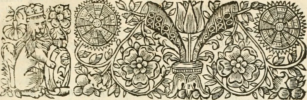 An illustration from Of the advancement and proficience of learning: or, The partitions of sciences, nine books, 1674, leaf 64