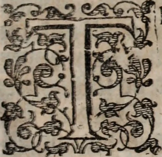 An illustration from Of the dominion, or, ownership of the sea two books. In the first is shew'd, that the sea, by the lavv of nature, or nations, is not common to all men, but capable of private dominion or proprietie, as well as the land. In the second is proved, that the dominion of the British sea, or that which incompasseth the isle of Great Britain, is, and ever hath been, a part or appendant of the empire of that island. Written at first in Latin, and entituled, Mare clausum seu, De dominio maris, by John Selden ... Translated into English; and set forth with som additional evidences and discourses, 1652, leaf 512