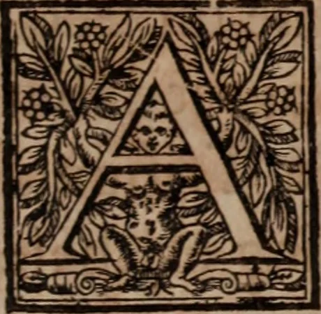 An illustration from Of the dominion, or, ownership of the sea two books. In the first is shew'd, that the sea, by the lavv of nature, or nations, is not common to all men, but capable of private dominion or proprietie, as well as the land. In the second is proved, that the dominion of the British sea, or that which incompasseth the isle of Great Britain, is, and ever hath been, a part or appendant of the empire of that island. Written at first in Latin, and entituled, Mare clausum seu, De dominio maris, by John Selden ... Translated into English; and set forth with som additional evidences and discourses, 1652, leaf 560