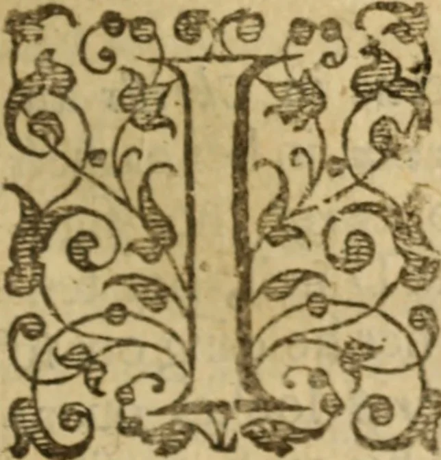 An illustration from The breast plate of faith and love ... : delivered in 18 sermons upon three severall texts, 1630, leaf 232