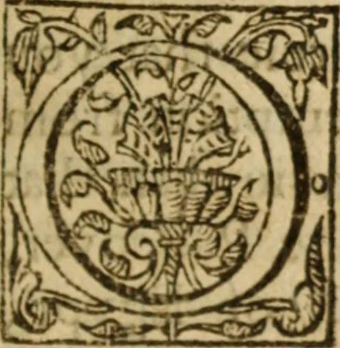 An illustration from The breast plate of faith and love ... : delivered in 18 sermons upon three severall texts, 1630, leaf 426