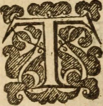 An illustration from The breast plate of faith and love ... : delivered in 18 sermons upon three severall texts, 1630, leaf 453