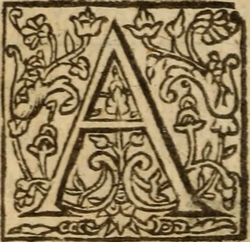 An illustration from The breast plate of faith and love ... : delivered in 18 sermons upon three severall texts, 1630, leaf 505