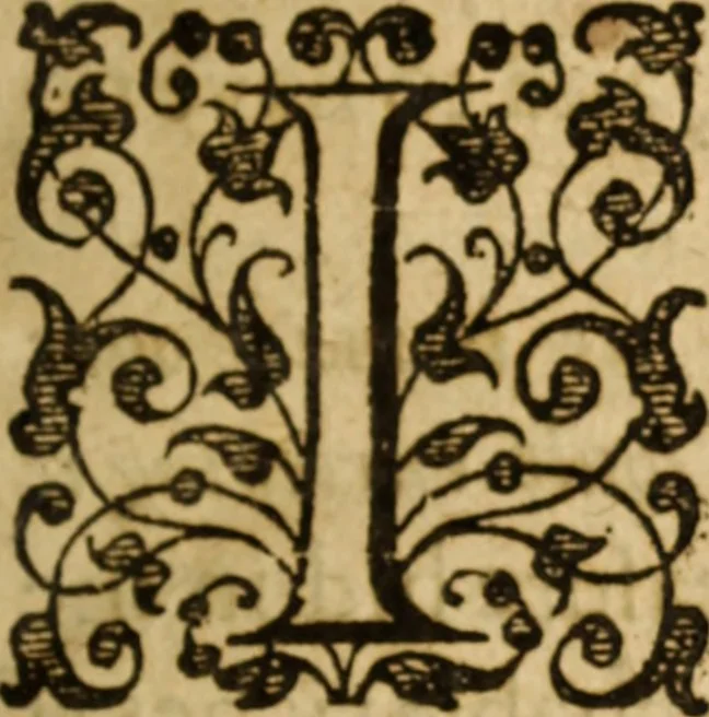 An illustration from The breast plate of faith and love ... : delivered in 18 sermons upon three severall texts, 1630, leaf 8