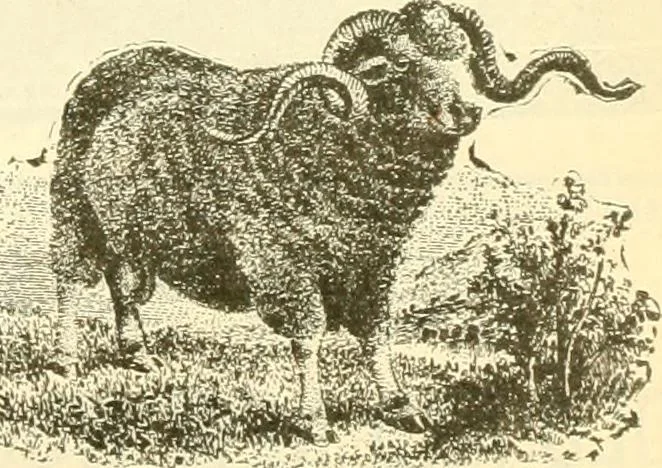 An illustration from Official American textile directory; containing reports of all the textile manufacturing establishments in the United States and Canada, together with the yarn trade index ... Comp. annually by the Textile world journal, 1901, leaf 326