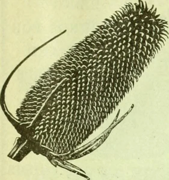 An illustration from Official American textile directory; containing reports of all the textile manufacturing establishments in the United States and Canada, together with the yarn trade index ... Comp. annually by the Textile world journal, 1914, leaf 638