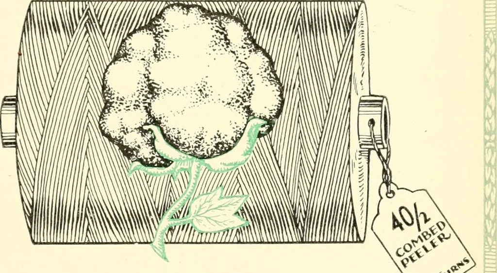 An illustration from Official American textile directory; containing reports of all the textile manufacturing establishments in the United States and Canada, together with the yarn trade index ... Comp. annually by the Textile world journal, 1919, leaf 554