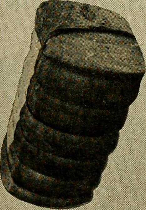 An illustration from Official American textile directory; containing reports of all the textile manufacturing establishments in the United States and Canada, together with the yarn trade index ... Comp. annually by the Textile world journal, 1920, leaf 630