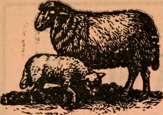 An illustration from Official American textile directory; containing reports of all the textile manufacturing establishments in the United States and Canada, together with the yarn trade index ... Comp. annually by the Textile world journal, 1920, leaf 796