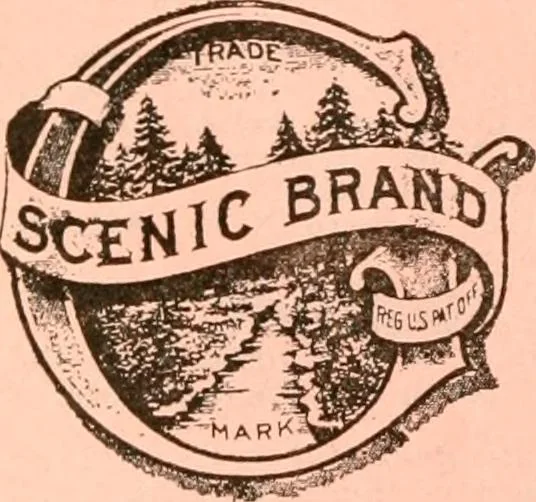 An illustration from Official American textile directory; containing reports of all the textile manufacturing establishments in the United States and Canada, together with the yarn trade index ... Comp. annually by the Textile world journal, 1921, leaf 677