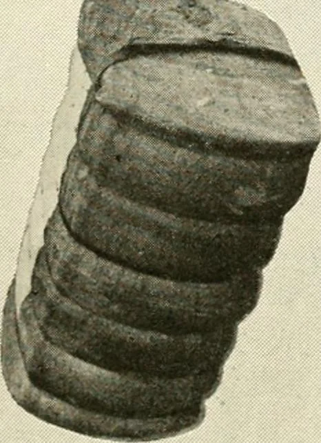 An illustration from Official American textile directory; containing reports of all the textile manufacturing establishments in the United States and Canada, together with the yarn trade index ... Comp. annually by the Textile world journal, 1921, leaf 764