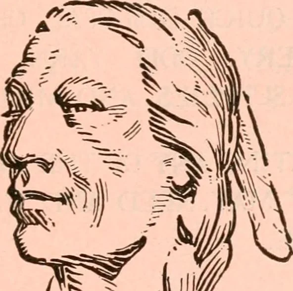 An illustration from Official American textile directory; containing reports of all the textile manufacturing establishments in the United States and Canada, together with the yarn trade index ... Comp. annually by the Textile world journal, 1921, leaf 810