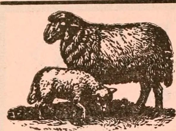 An illustration from Official American textile directory; containing reports of all the textile manufacturing establishments in the United States and Canada, together with the yarn trade index ... Comp. annually by the Textile world journal, 1921, leaf 833