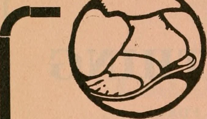 An illustration from Official American textile directory; containing reports of all the textile manufacturing establishments in the United States and Canada, together with the yarn trade index ... Comp. annually by the Textile world journal, 1922, leaf 47