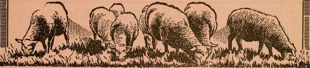 An illustration from Official American textile directory; containing reports of all the textile manufacturing establishments in the United States and Canada, together with the yarn trade index ... Comp. annually by the Textile world journal, 1922, leaf 878