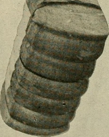 An illustration from Official American textile directory; containing reports of all the textile manufacturing establishments in the United States and Canada, together with the yarn trade index ... Comp. annually by the Textile world journal, 1922, leaf 896